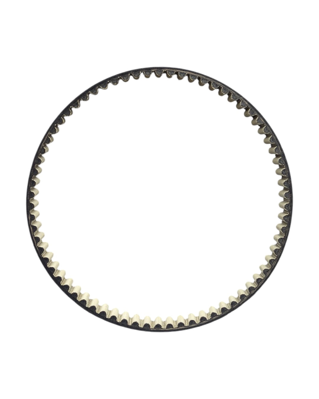 Dayco Primary Drive Belt for Light Bee