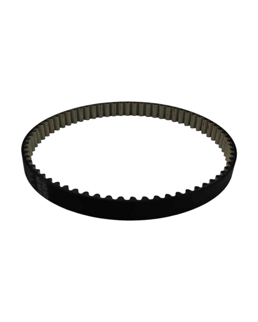 Dayco Primary Drive Belt for Light Bee