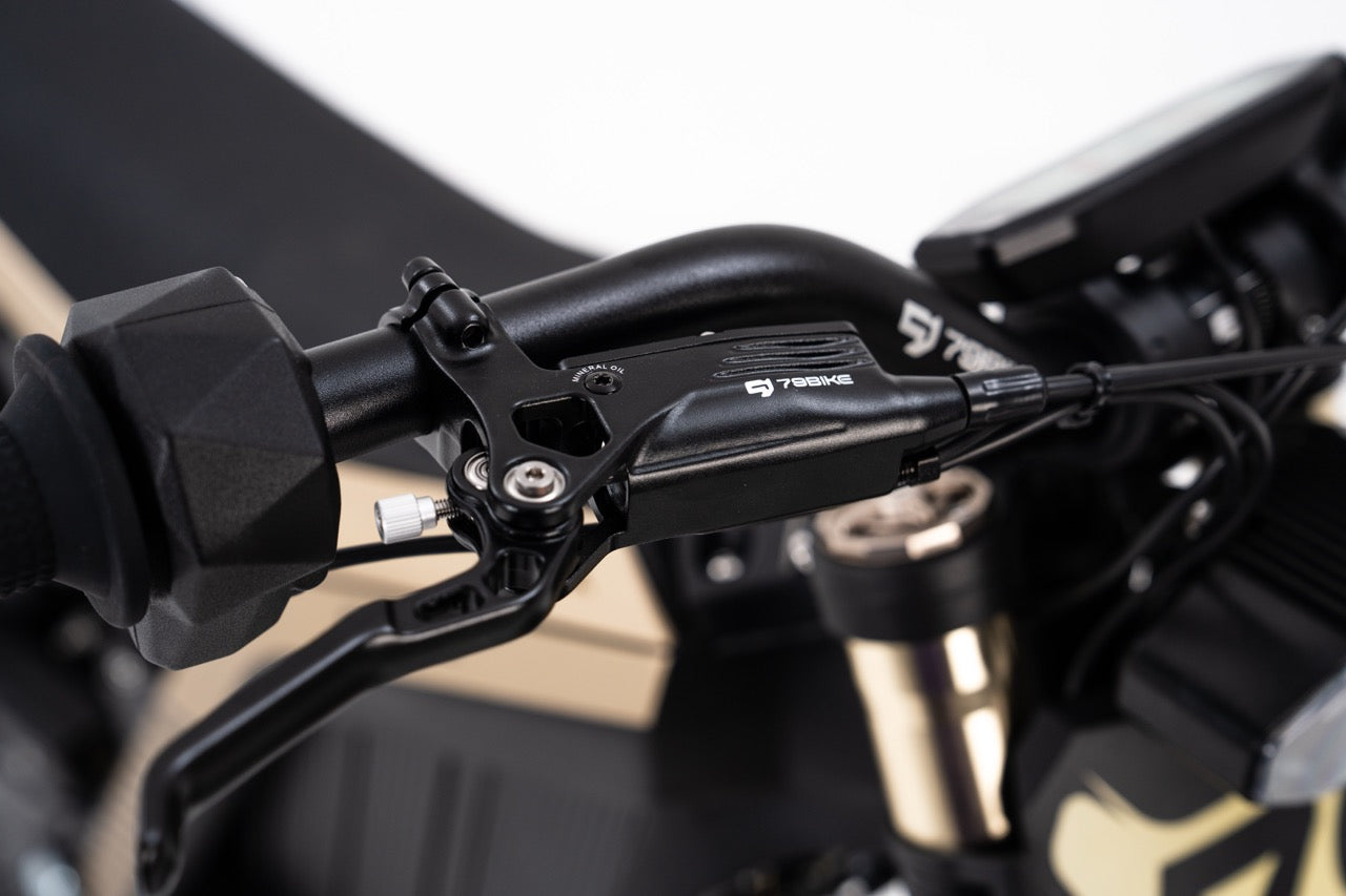 79Bike Lynx Electric Dirt Bike