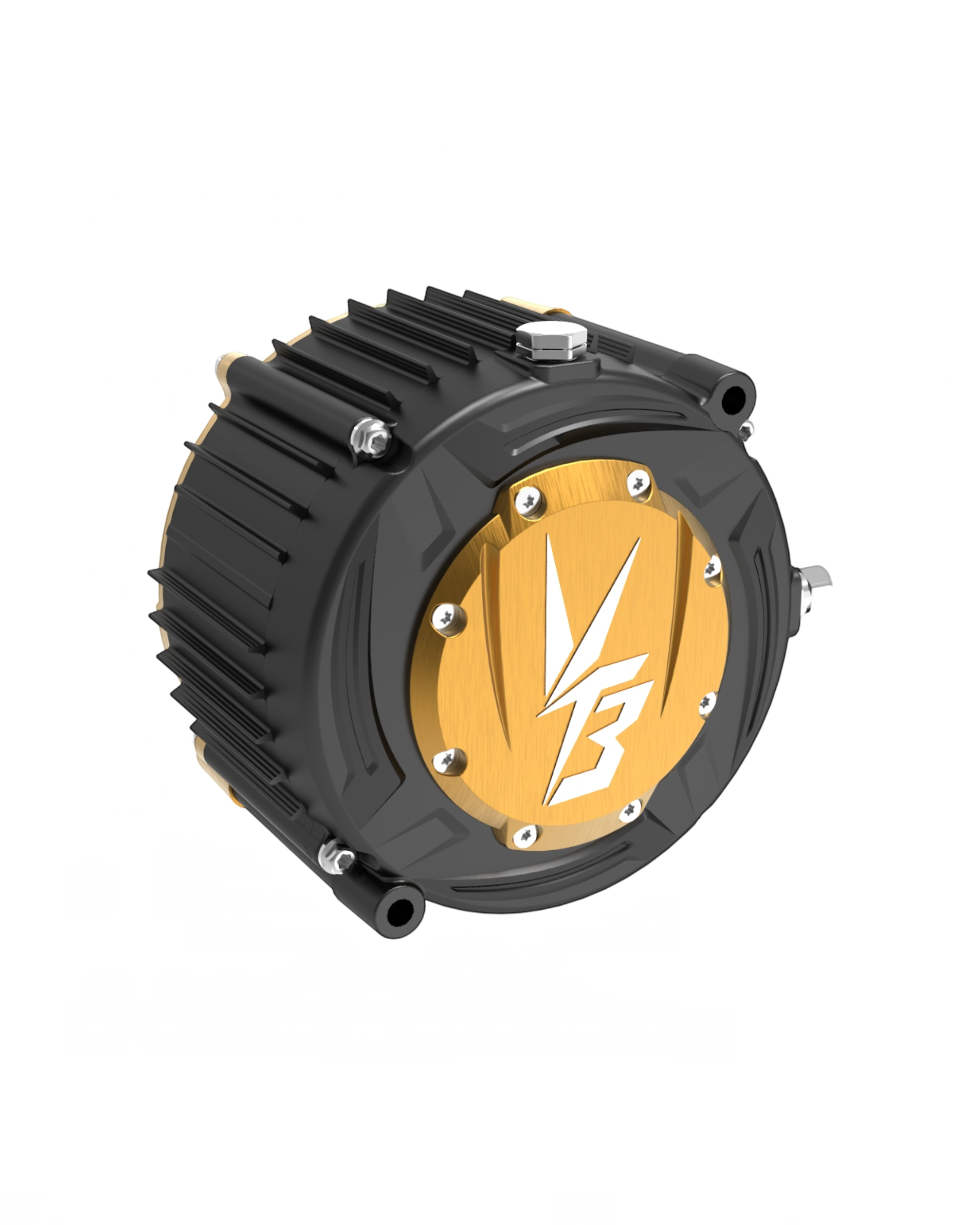 Ryuga 52kW Hairpin Motor
