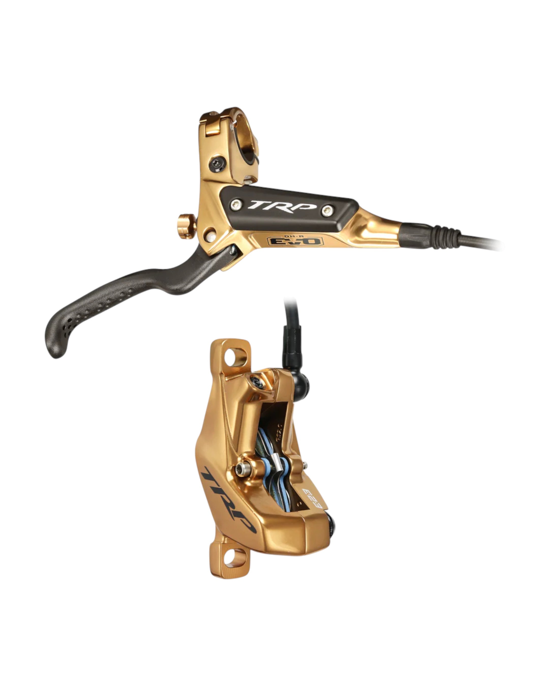 dhr_gold_3000x_1595fe80-5529-